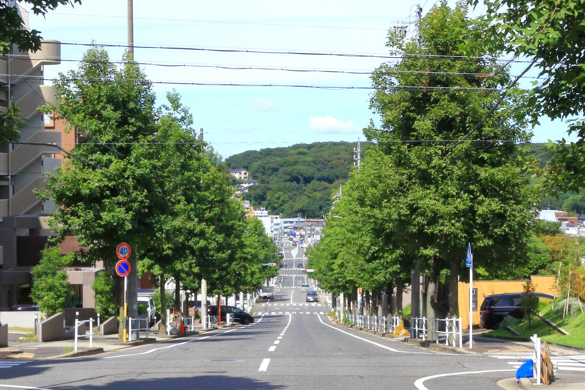 天白区で戸建てに住む際の土地探しのポイント