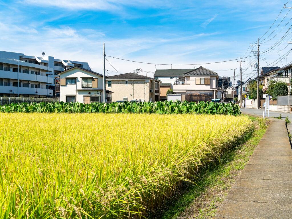 「生産緑地2022年問題」は結局どうなったのか